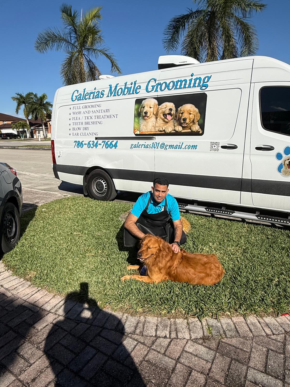 Galerias Pet Grooming Team