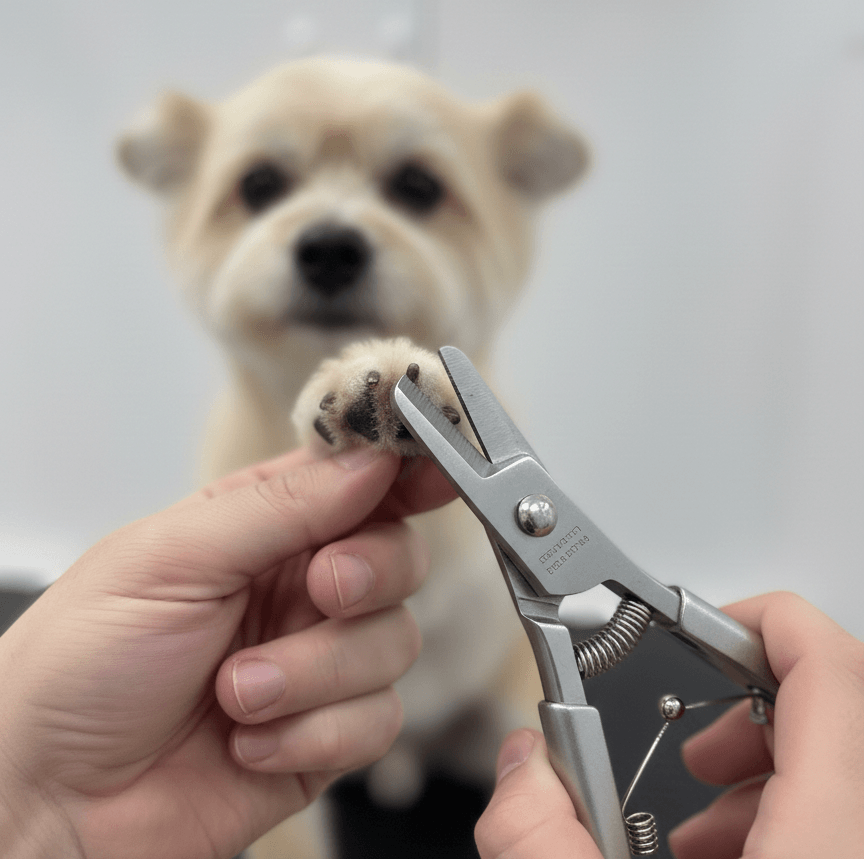 Nail Grinding