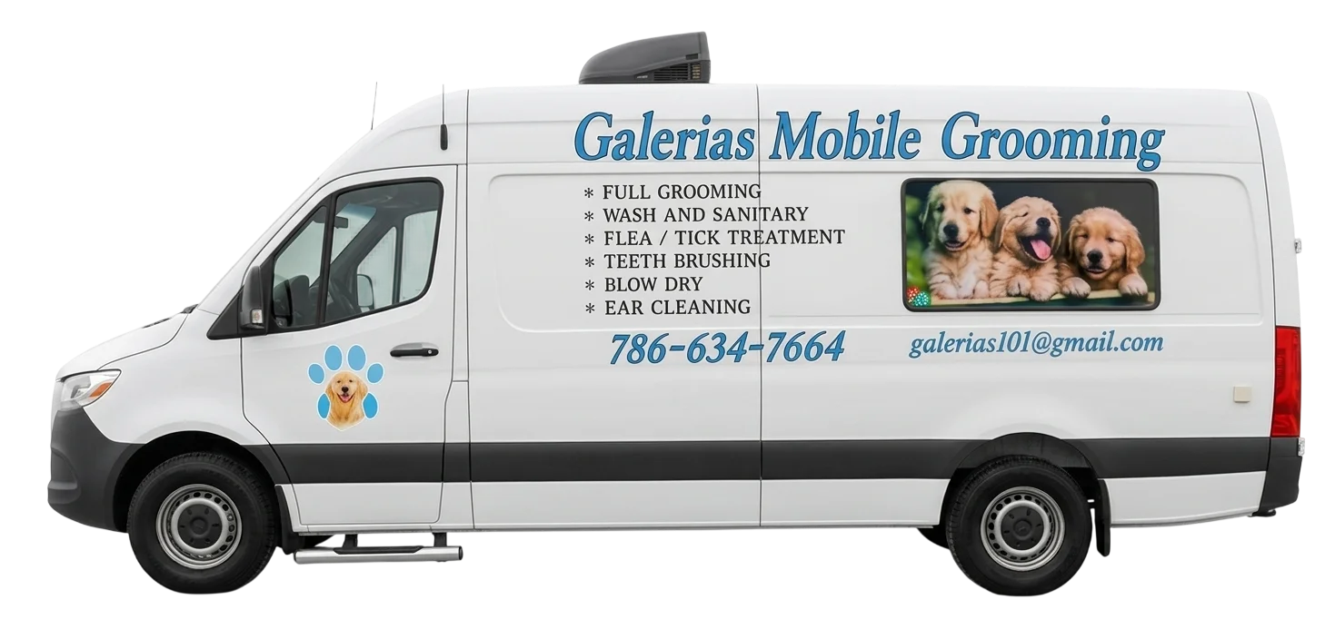 Mobile Pet Grooming Van